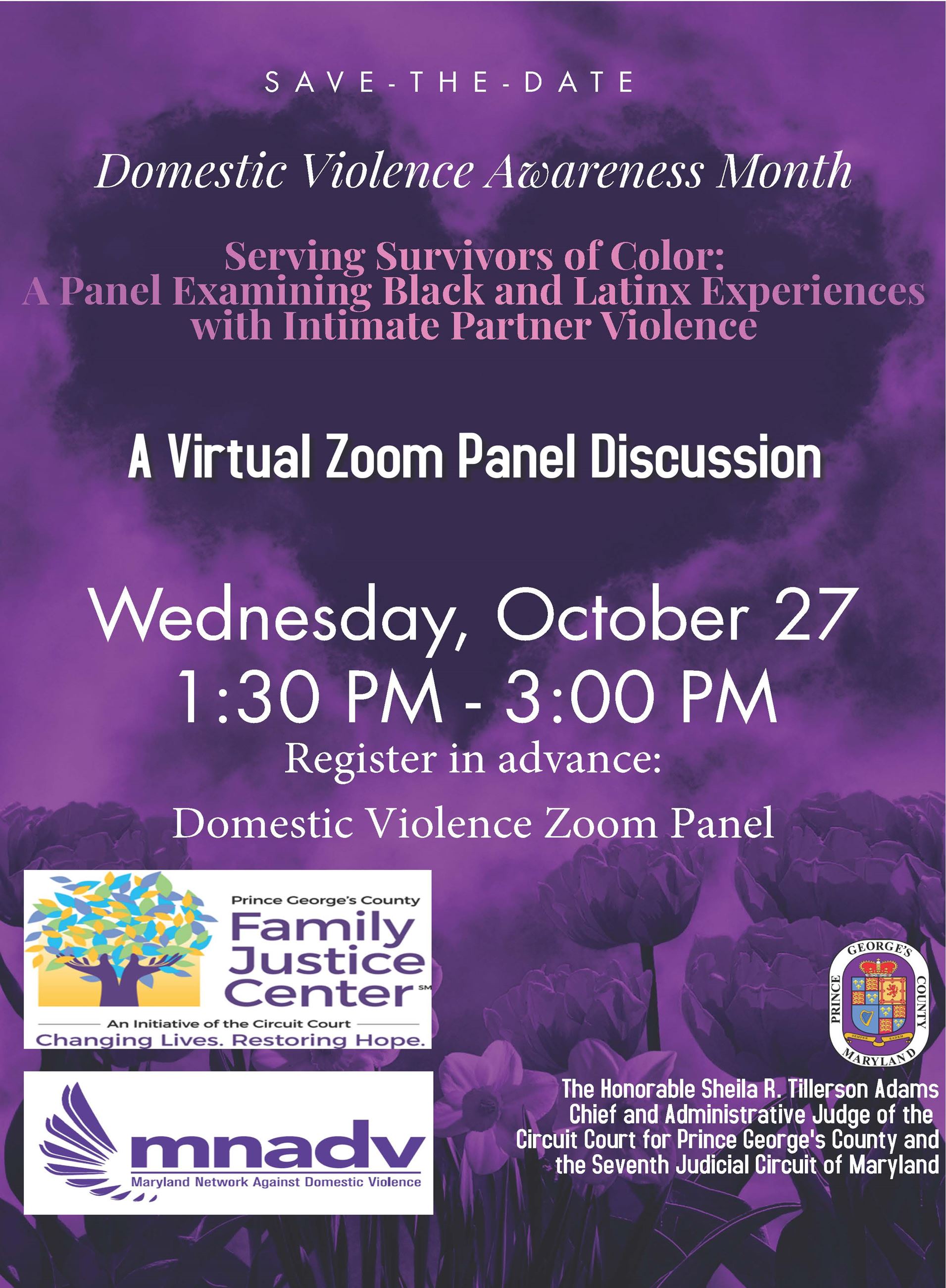 DMV Panel Flyer (new pdf)